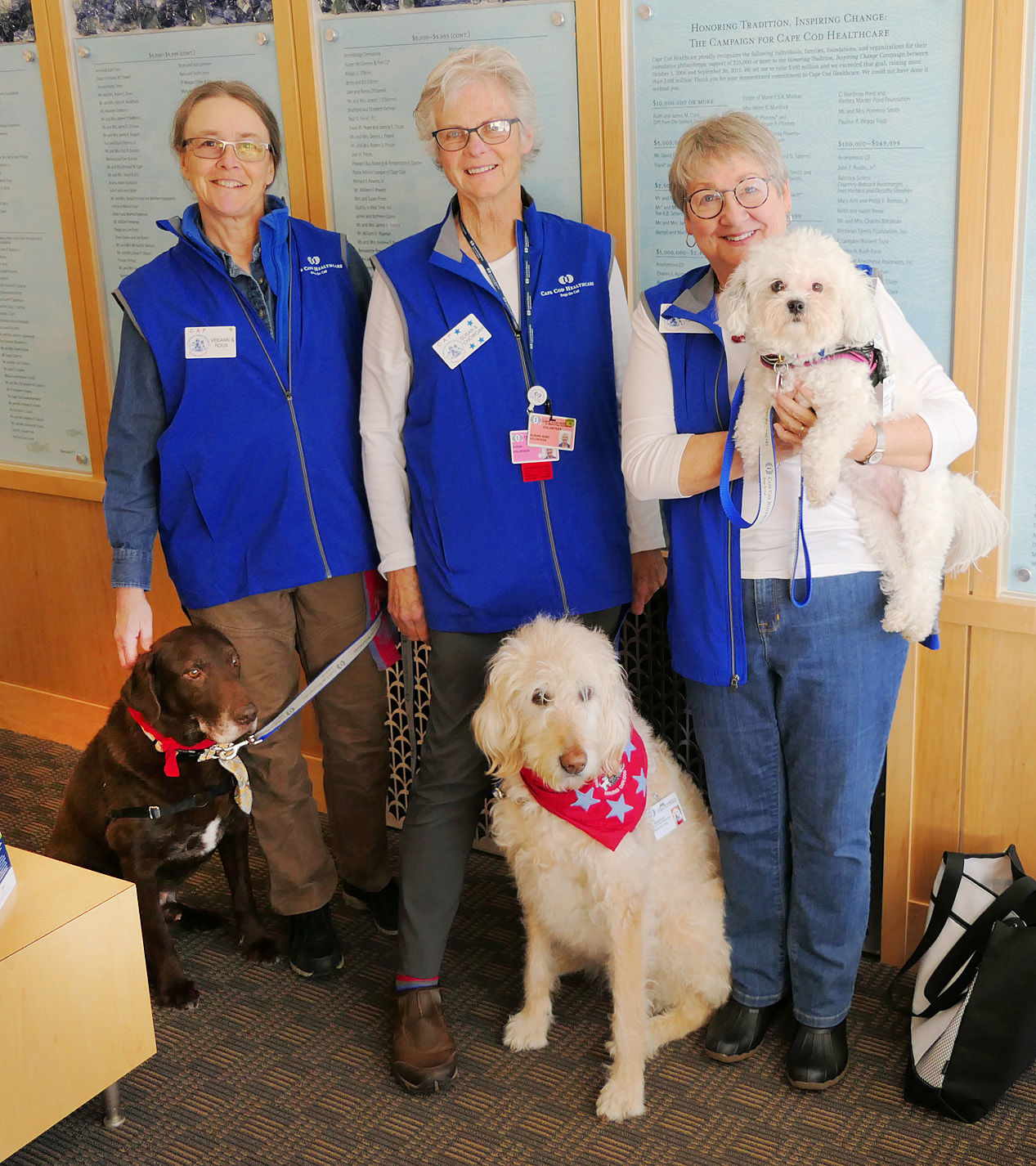 Dogs On Call